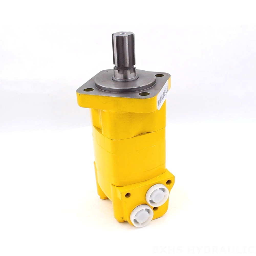 BM5 Cycloid Hydraulic Motor-2 100 cc/r 75 Lpm - Factory Direct image